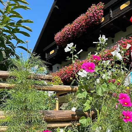 Lungau Guest house