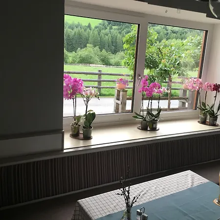 Guest house Lungau